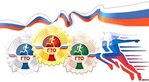 Фестиваль ГТО Фестиваль ГТО.